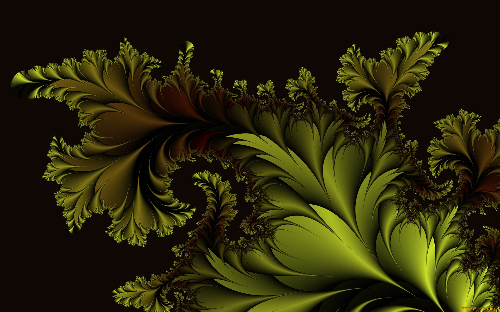 3 ,  , fractal, 